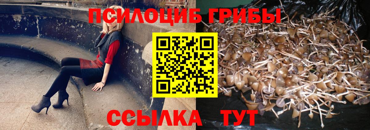 Ейск  Галлюциногенные грибы Magic Shrooms  Вход с VPN 
