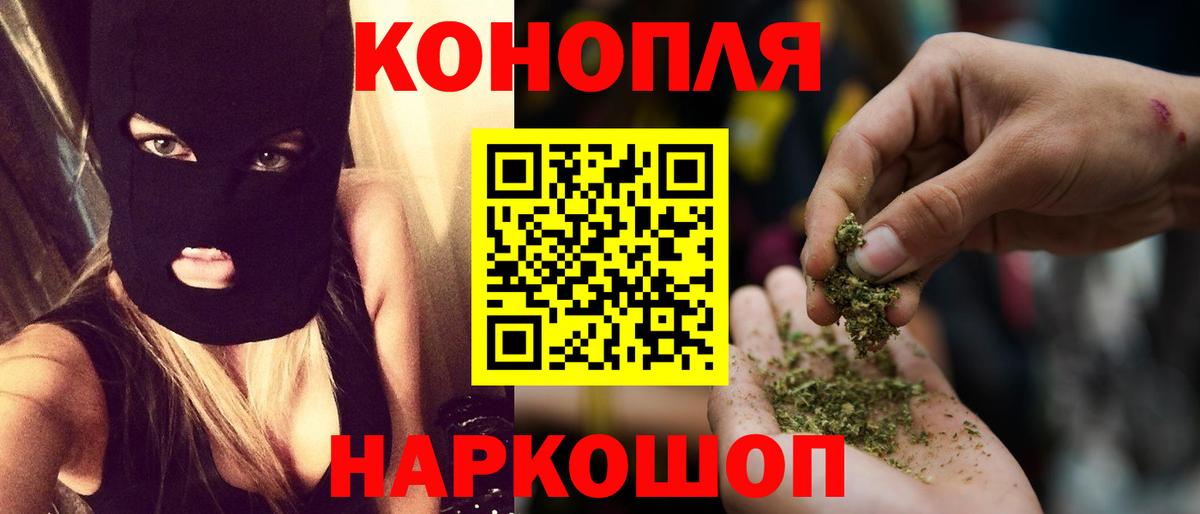 Бошки марихуана план  Вход с VPN  Каннабис Bruce Banner  Ейск  МАРИХУАНА индика 